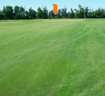 Golf Course Hasting Elks Golf Course